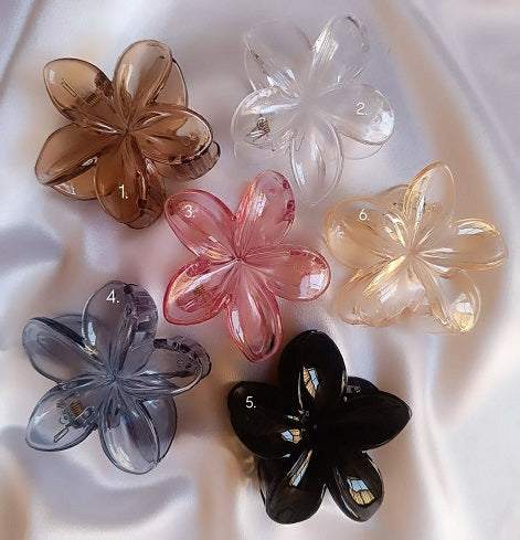 (Transparent) Glossy Flower Hair Claw - Large Set of 5 Colors