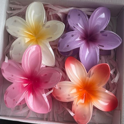 Glossy Flower Hair Claw - Large Set of 5 Colors